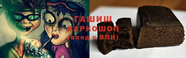 дживик Ельня