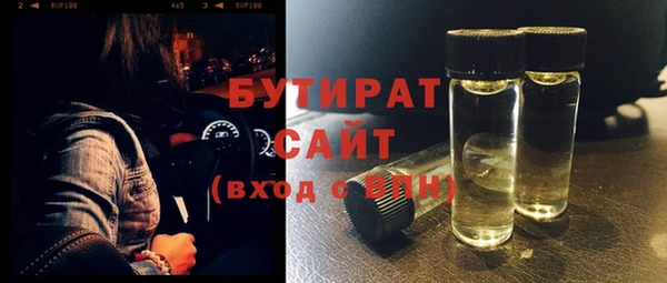 дживик Ельня