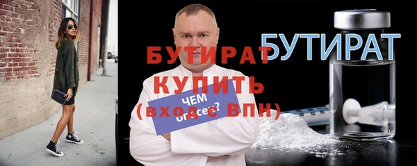 дживик Ельня