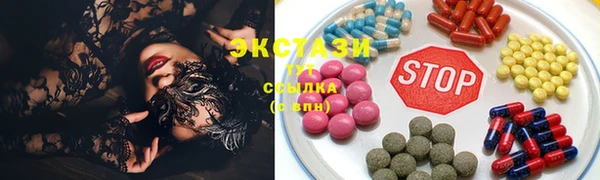 дживик Ельня