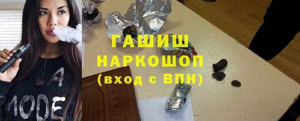 дживик Ельня