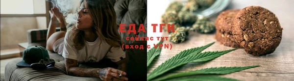 дживик Ельня