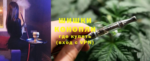 дживик Ельня