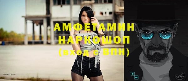 дживик Ельня