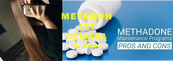 дживик Ельня