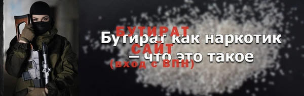 дживик Ельня