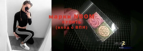дживик Ельня