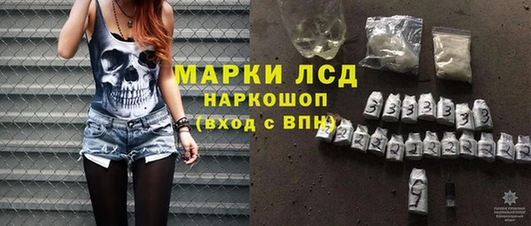 дживик Ельня