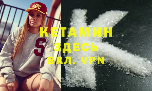 дживик Ельня