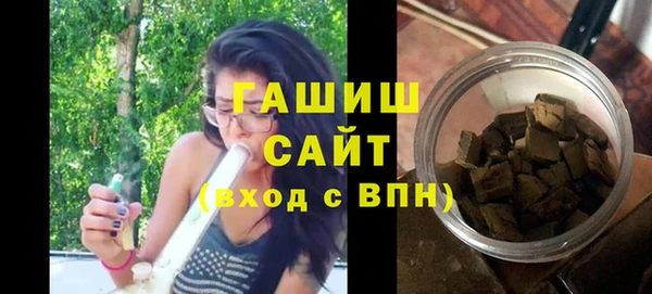 дживик Ельня