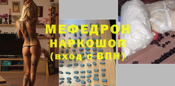 дживик Ельня