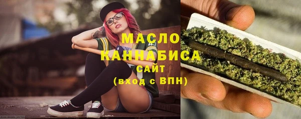 дживик Ельня